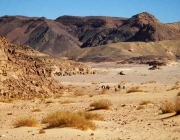 Península do Sinai 5