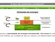 Pirâmide da Biomassa 5