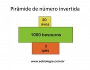 Pirâmide de número invertida