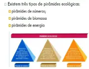Pirâmides Ecológicas 5