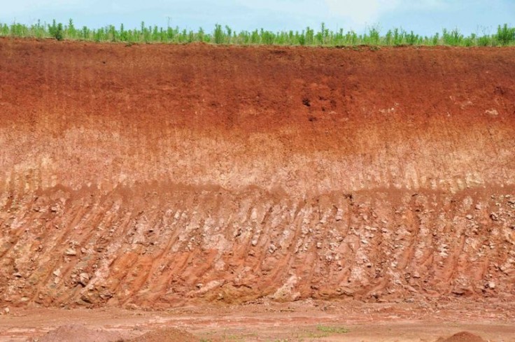 O Que é Solo Argiloso? – Mundo Ecologia