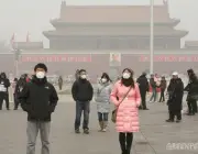 Poluição do Ar Mata 6