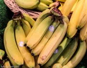 Produção de Banana Orgânica no Brasil 2