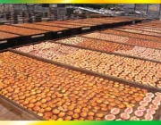Produção de Frutos Secos ao Redor do Mundo 5