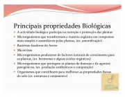 Propriedades Biológicas do Solo 1