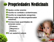 Propriedades Nutricionais do Alface 3