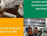 Protejo Preservação de Albatroz Errante 2