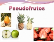 Pseudofrutos Frutos 2