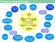 Rede Ecológica 3