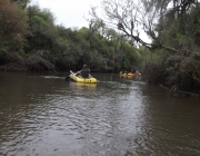 Rio Iapó 4