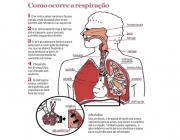 Processo de Respiração 5