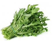 Arugula