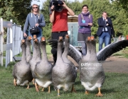 urn_newsml_dpa_com_20090101_180913-99-942972-2