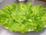 Salada Com Alface Crocantela 2