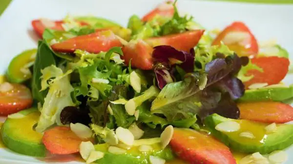 Salada de Alface 6