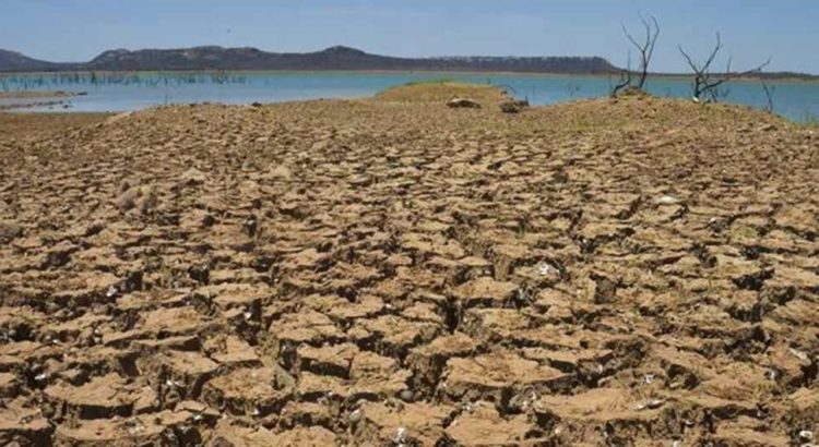 Impactos Ambientais Caatinga Resumo – Mundo Ecologia