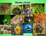 Seres Vivos 2