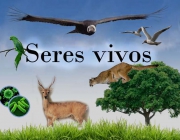 Seres Vivos 5