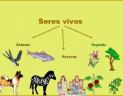 Seres vivos Animais Vegetais Pessoas