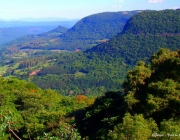 Serra Gaúcha 4