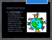 La sinecología (o ecología de la comunidad) se ocupa del estudio de grupos de organismos que están asociados formando una unidad, también en relación con el medio ambiente.