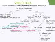 Sinecologia 5