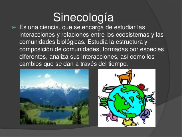 Sinecologia 1