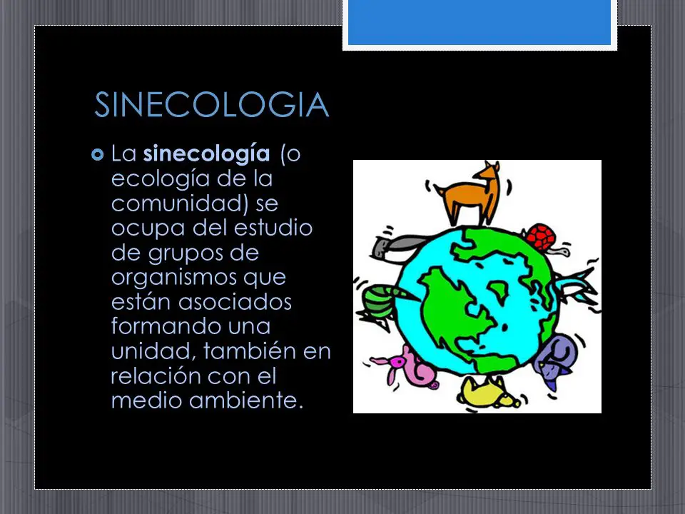 La sinecología (o ecología de la comunidad) se ocupa del estudio de grupos de organismos que están asociados formando una unidad, también en relación con el medio ambiente.