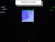 Sinecologia 3