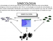 Sinecologia 4