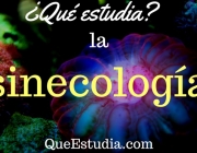 Sinecologia 5