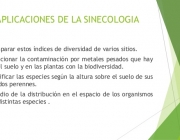 Sinecologia 6