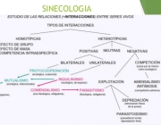 Sinecologia Descritiva 1