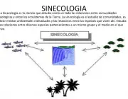 Sinecologia Descritiva 5
