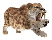 Smilodon 4