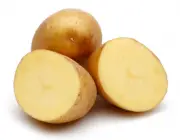 Slices potatoes