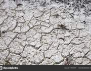 Dry limestone soil.