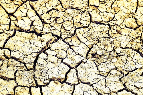 Tudo Sobre Solo Calcário – Mundo Ecologia