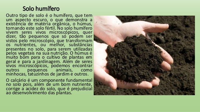 O Que é um Solo Humífero? | Mundo Ecologia