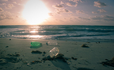 Sustentabilidade dos Oceanos 5