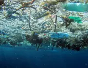 Sustentabilidade dos Oceanos 1