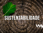 Sustentabilidade 3