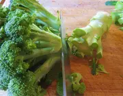 Talo de Brócolis 1