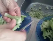 Talo de Brócolis 6