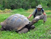 Tartaruga Gigante 3