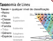 Taxonomia de Lineu 5