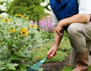 Técnicas de Jardinagem 3