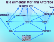 Teia Alimentar Marinha 2