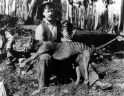 Tigres da Tasmânia e o Porquê da sua Extinção 5