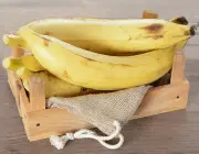 Banana da Terra 1